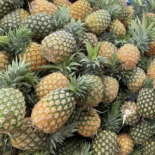 Fresh Pineapples