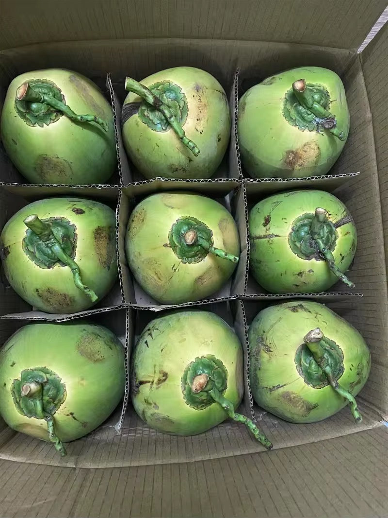 Young Coconuts case of nine.
