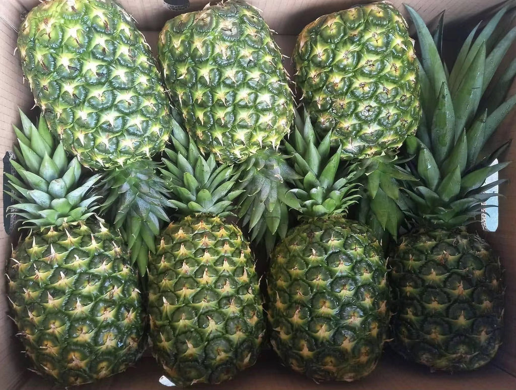 Fresh Pineapples
