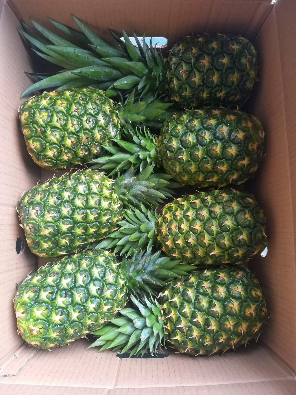 Fresh Pineapples