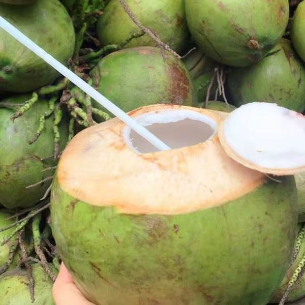 Young Coconuts case of nine.