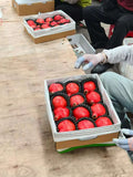 Box of 12 Premium Organic Greenhouse Fresh Pomegranate